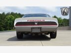 Thumbnail Photo 4 for 1981 Pontiac Firebird Formula